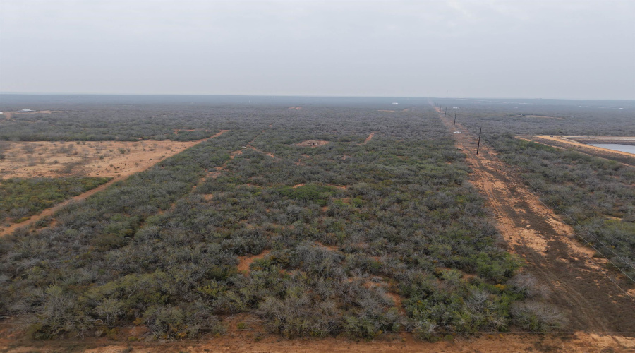 AB 643 RUSK TRA AB 643 Rusk Transportation, Artesia, Texas 78001, ,Land,For Sale,AB 643 RUSK TRA AB 643 Rusk Transportation,20260310