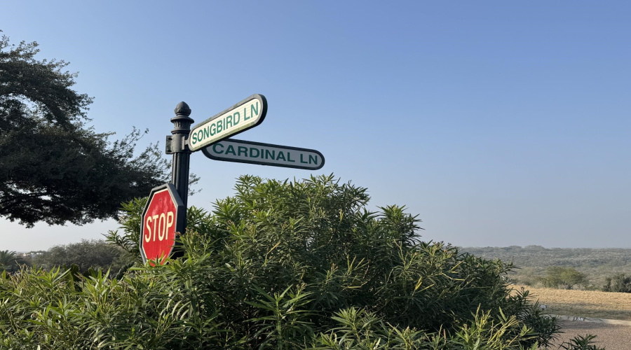 102 Cardinal Ln, Laredo, Texas 78045, 3 Bedrooms Bedrooms, 8 Rooms Rooms,2 BathroomsBathrooms,Residential,For Sale,102 Cardinal Ln,20260311