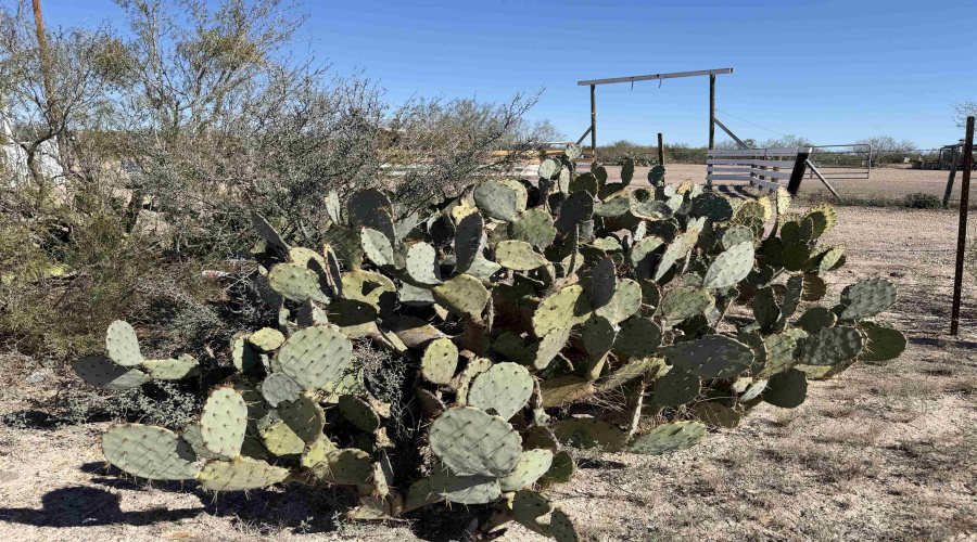 1862 Las Pilas Rd., Webb County, Texas 78045, ,Land,For Sale,1862 Las Pilas Rd.,20260322