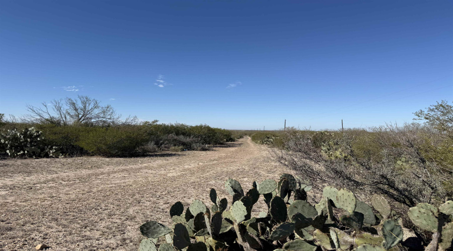 1862 Las Pilas Rd., Webb County, Texas 78045, ,Land,For Sale,1862 Las Pilas Rd.,20260322