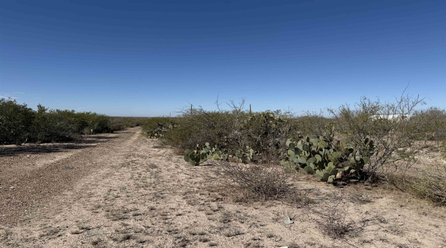 1862 Las Pilas Rd., Webb County, Texas 78045, ,Land,For Sale,1862 Las Pilas Rd.,20260322