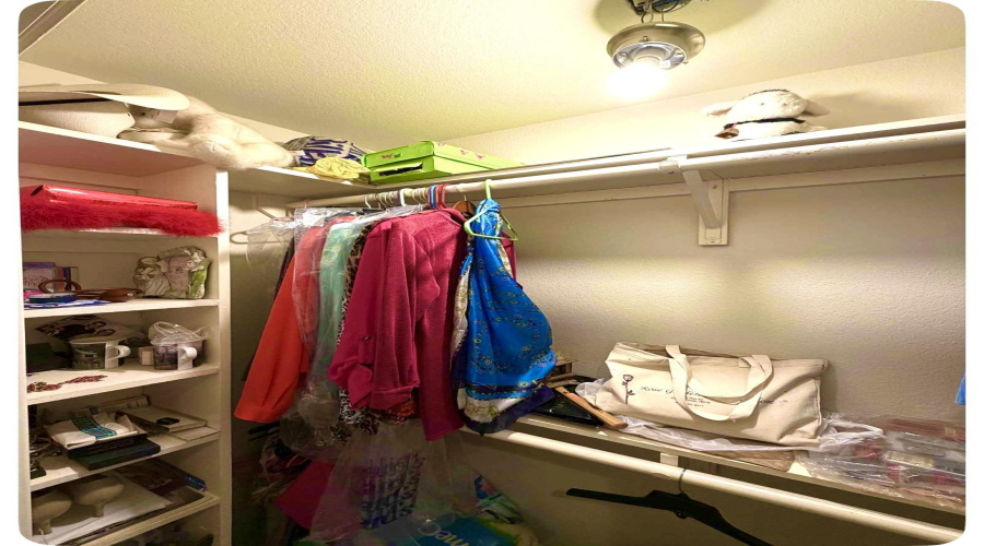 1902 Delmar St., ZAPATA, Texas 78073, 4 Bedrooms Bedrooms, 8 Rooms Rooms,2 BathroomsBathrooms,Residential,For Sale,1902 Delmar St.,20260323