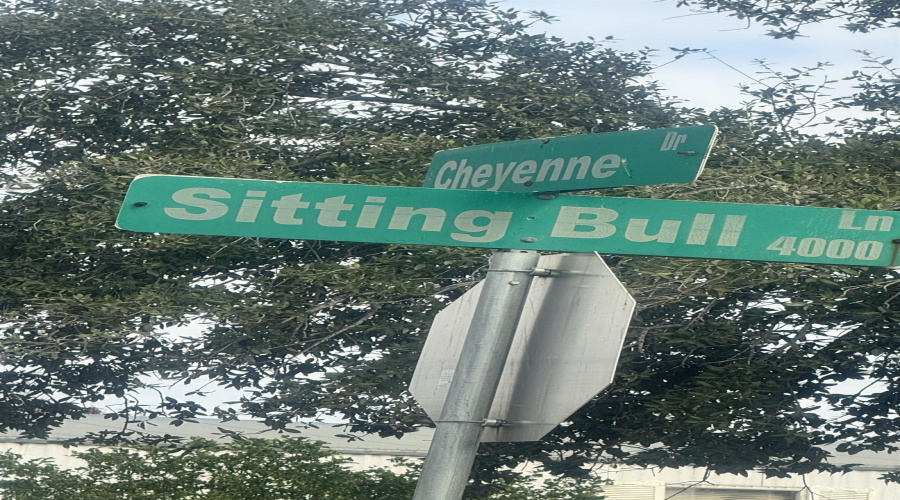 3814 Sitting Bull Ln, LAREDO, Texas 78043-4236, ,Land,For Sale,3814 Sitting Bull Ln,20260325