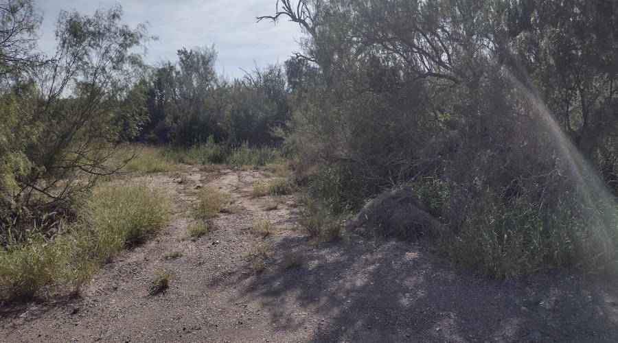 4186 N U.S. Hwy 83, San Ygnacio, Texas 78067, ,Land,For Sale,4186 N U.S. Hwy 83,20223693