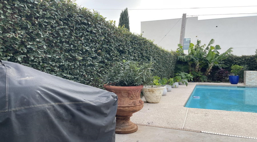 7604 Patricia Highsmith Dr, Laredo, Texas 78041-4163, 4 Bedrooms Bedrooms, 8 Rooms Rooms,3 BathroomsBathrooms,Residential,For Sale,7604 Patricia Highsmith Dr,20260410