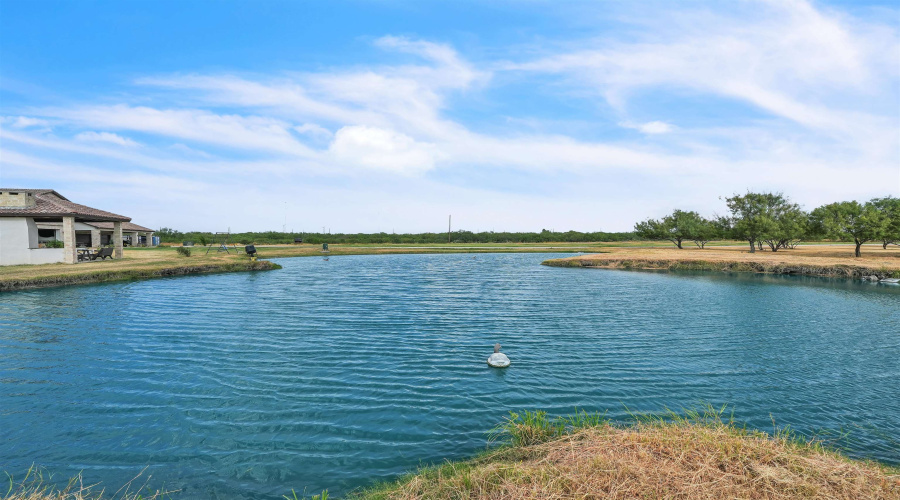 304 Tomcat Ln., Laredo, Texas 78045, 4 Bedrooms Bedrooms, 8 Rooms Rooms,4 BathroomsBathrooms,Residential,For Sale,304 Tomcat Ln.,20260416