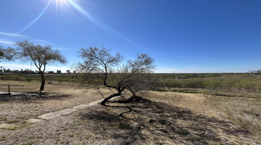 149 Palm Place, Zapata, Texas 78076, 3 Bedrooms Bedrooms, 5 Rooms Rooms,1 BathroomBathrooms,Residential,For Sale,149 Palm Place,20260479