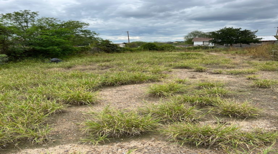 403 Arkansas Ave, Laredo, Texas 78043, ,Land,For Sale,403 Arkansas Ave,20243607