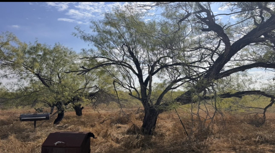 1604 Siesta Ln, ZAPATA, Texas 78076, 3 Bedrooms Bedrooms, 5 Rooms Rooms,2 BathroomsBathrooms,Residential,For Sale,1604 Siesta Ln,20260535