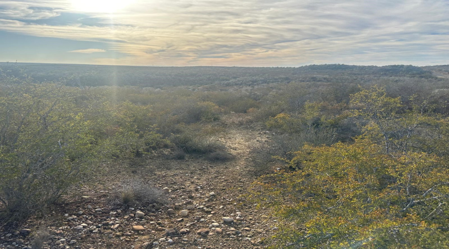 ABST 66 POR 59 U.S. Hwy 83, Laredo, Texas 78046, ,Land,For Sale,ABST 66 POR 59 U.S. Hwy 83,20250590