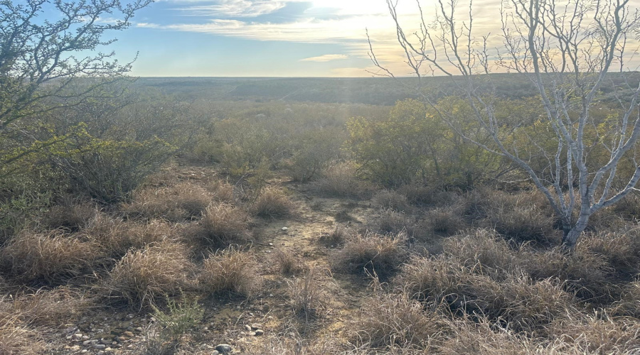 ABST 66 POR 59 U.S. Hwy 83, Laredo, Texas 78046, ,Land,For Sale,ABST 66 POR 59 U.S. Hwy 83,20250590