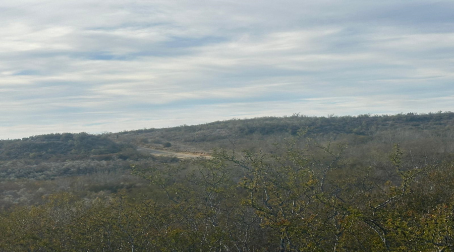 ABST 66 POR 59 U.S. Hwy 83, Laredo, Texas 78046, ,Land,For Sale,ABST 66 POR 59 U.S. Hwy 83,20250590