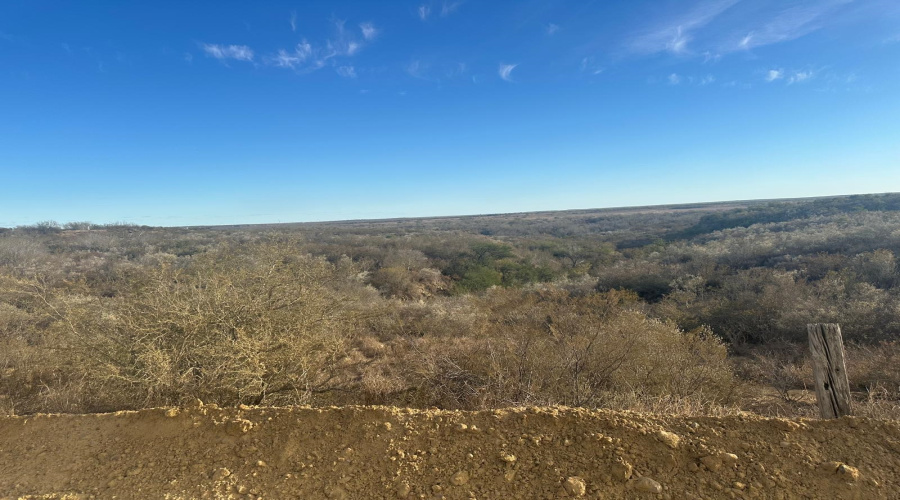 ABST 66 POR 59 U.S. Hwy 83, Laredo, Texas 78046, ,Land,For Sale,ABST 66 POR 59 U.S. Hwy 83,20250590