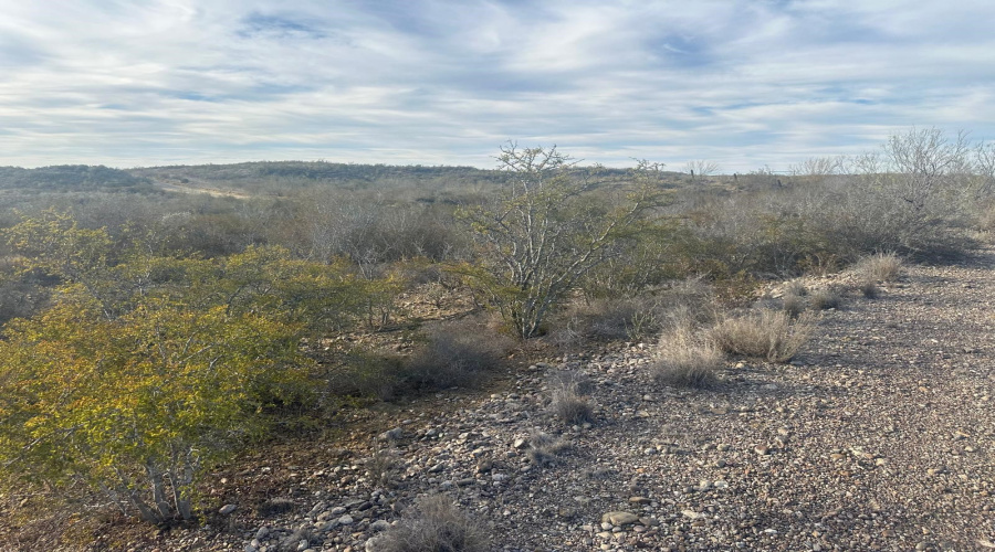 ABST 66 POR 59 U.S. Hwy 83, Laredo, Texas 78046, ,Land,For Sale,ABST 66 POR 59 U.S. Hwy 83,20250590