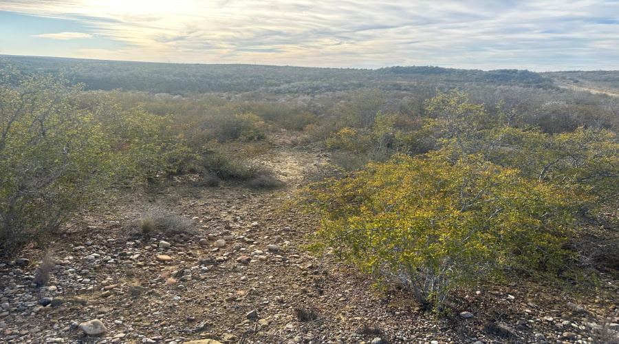 ABST 66 POR 59 U.S. Hwy 83, Laredo, Texas 78046, ,Land,For Sale,ABST 66 POR 59 U.S. Hwy 83,20250590