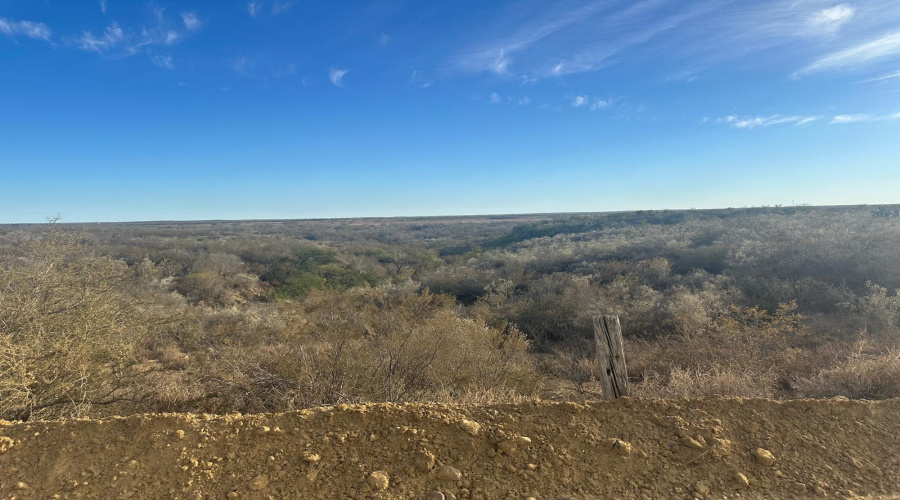 ABST 66 POR 59 U.S. Hwy 83, Laredo, Texas 78046, ,Land,For Sale,ABST 66 POR 59 U.S. Hwy 83,20250590