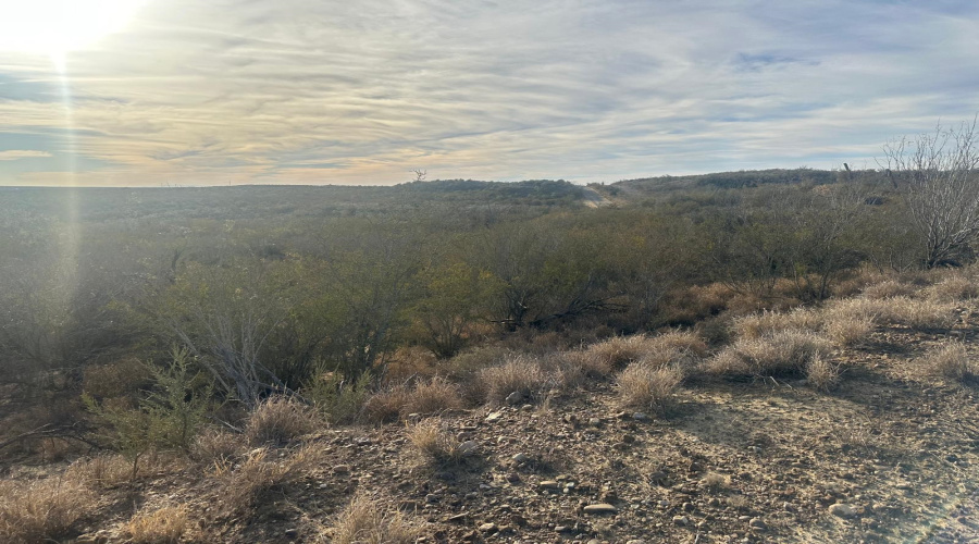 ABST 66 POR 59 U.S. Hwy 83, Laredo, Texas 78046, ,Land,For Sale,ABST 66 POR 59 U.S. Hwy 83,20250590