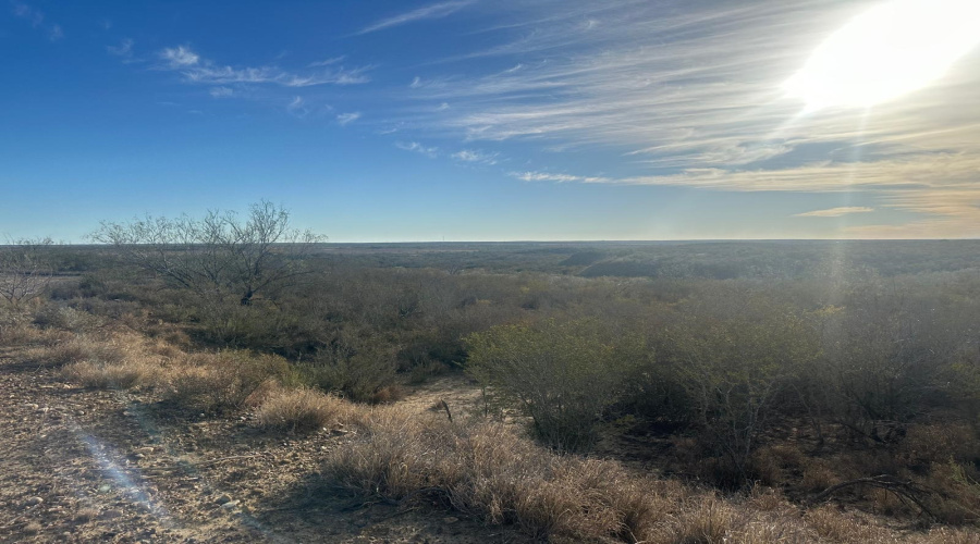 ABST 66 POR 59 U.S. Hwy 83, Laredo, Texas 78046, ,Land,For Sale,ABST 66 POR 59 U.S. Hwy 83,20250590