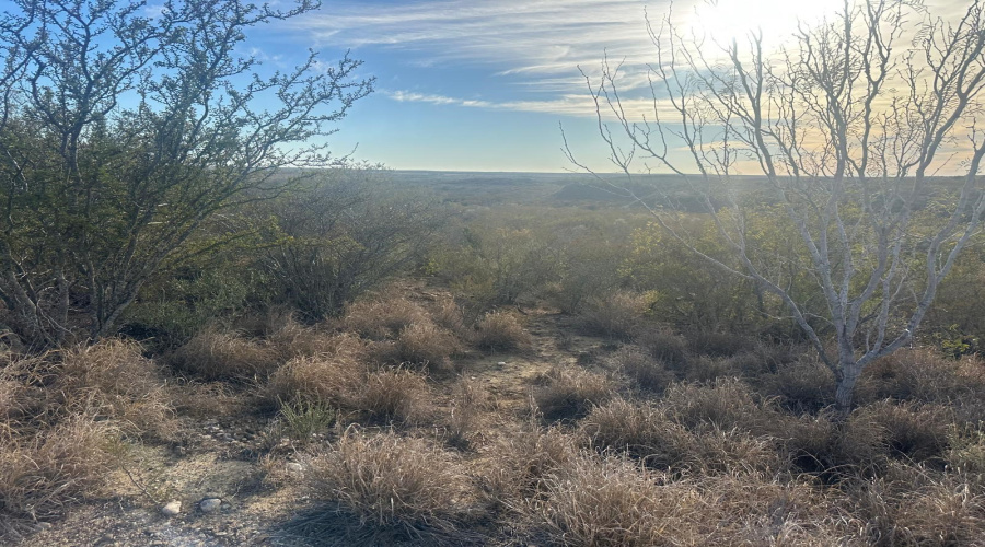 ABST 66 POR 59 U.S. Hwy 83, Laredo, Texas 78046, ,Land,For Sale,ABST 66 POR 59 U.S. Hwy 83,20250590