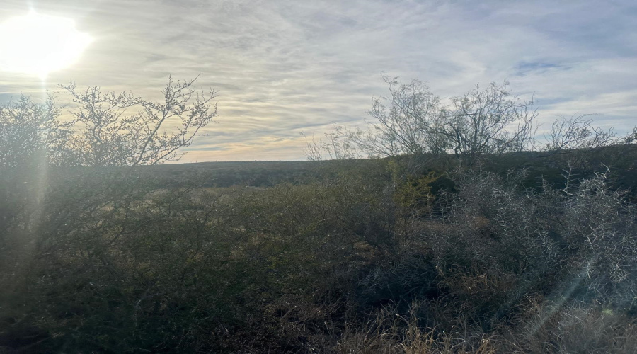 ABST 66 POR 59 U.S. Hwy 83, Laredo, Texas 78046, ,Land,For Sale,ABST 66 POR 59 U.S. Hwy 83,20250590