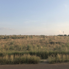 0000 Dorel Dr, Laredo, Texas 78043, ,Land,For Sale,0000 Dorel Dr,20252998