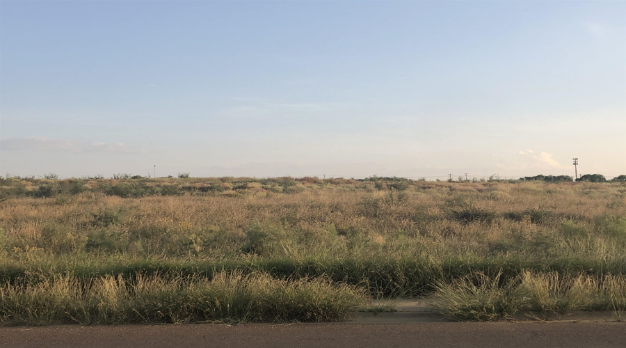 0000 Dorel Dr, Laredo, Texas 78043, ,Land,For Sale,0000 Dorel Dr,20252998