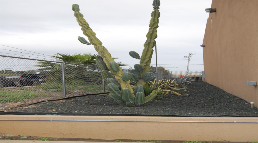 11922 Conley Rd, LAREDO, Texas 78045-9999, 1 Bedroom Bedrooms, 11 Rooms Rooms,4 BathroomsBathrooms,Commercial/industrial,For Sale,11922 Conley Rd,20260543