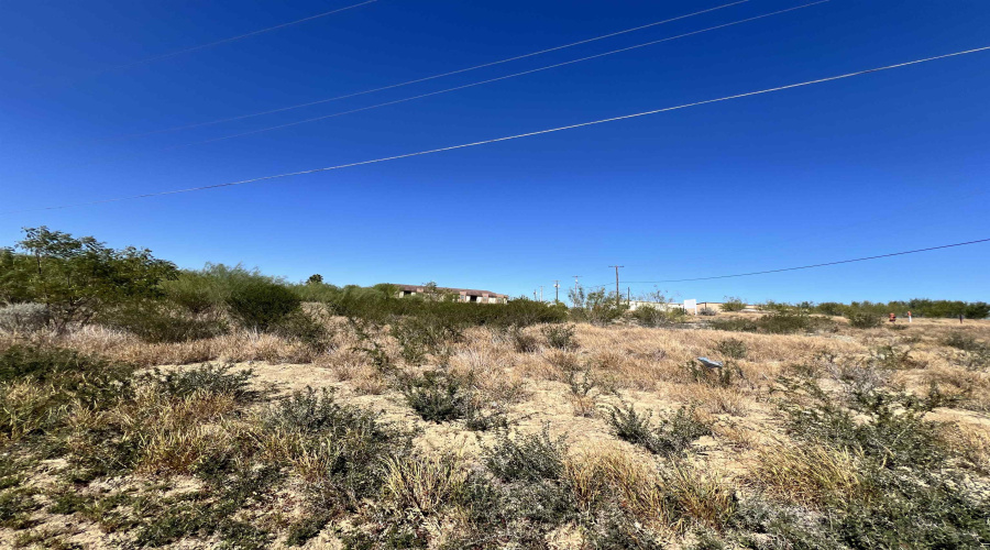 199 Madison Ave., Zapata, Texas 78076, ,Land,For Sale,199 Madison Ave.,20260545