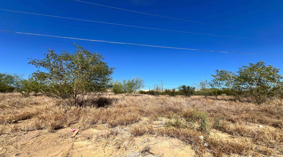 199 Madison Ave., Zapata, Texas 78076, ,Land,For Sale,199 Madison Ave.,20260545