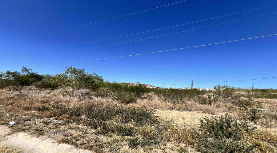 199 Madison Ave., Zapata, Texas 78076, ,Land,For Sale,199 Madison Ave.,20260545
