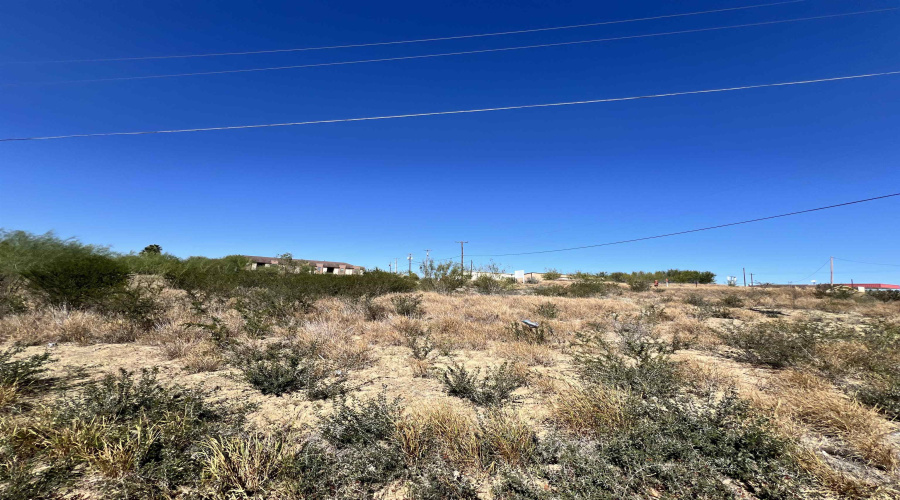 201 Madison Ave., Zapata, Texas 78076, ,Land,For Sale,201 Madison Ave.,20260546
