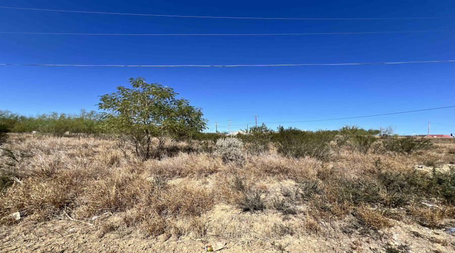 201 Madison Ave., Zapata, Texas 78076, ,Land,For Sale,201 Madison Ave.,20260546