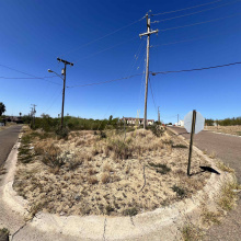 203 Madison Ave., Zapata, Texas 78076, ,Land,For Sale,203 Madison Ave.,20260548