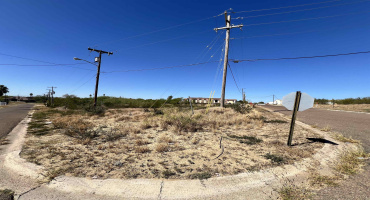 203 Madison Ave., Zapata, Texas 78076, ,Land,For Sale,203 Madison Ave.,20260548 203 Madison Ave., Zapata, Texas 78076, ,Land,For Sale,203 Madison Ave.,20260548