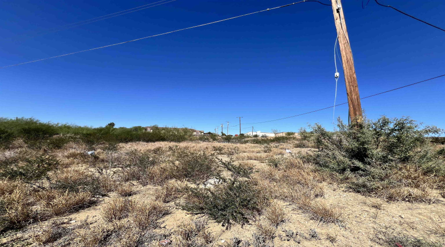 203 Madison Ave., Zapata, Texas 78076, ,Land,For Sale,203 Madison Ave.,20260548