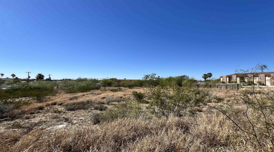 142 Roma St, Zapata, Texas 78076, ,Land,For Sale,142 Roma St,20260549