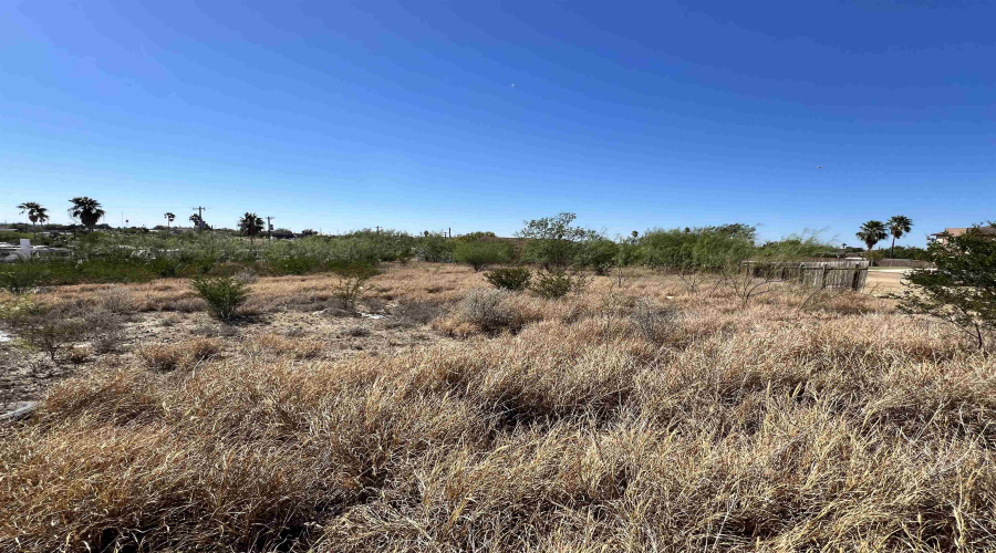 142 Roma St, Zapata, Texas 78076, ,Land,For Sale,142 Roma St,20260549