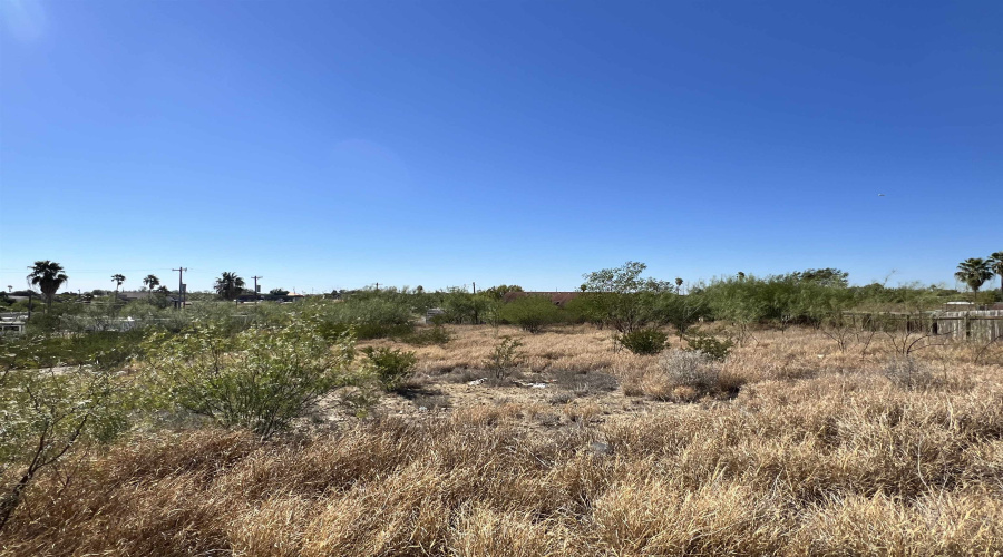 142 Roma St, Zapata, Texas 78076, ,Land,For Sale,142 Roma St,20260549