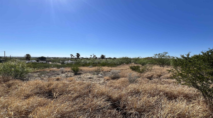 142 Roma St, Zapata, Texas 78076, ,Land,For Sale,142 Roma St,20260549
