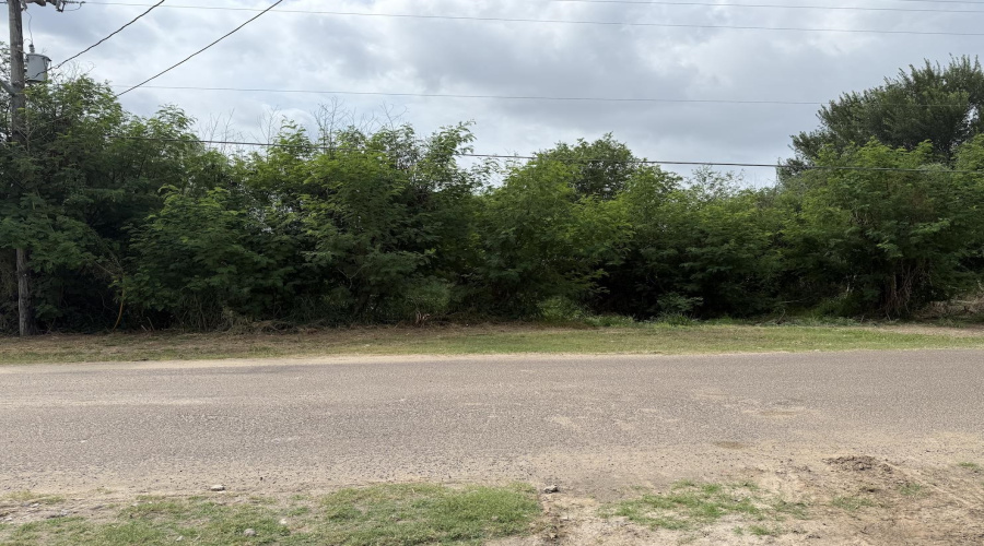 1313 13th St., Zapata, Texas 78076-0000, ,Land,For Sale,1313 13th St.,20253082