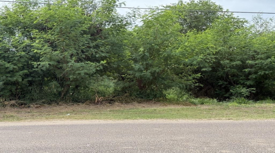 1313 13th St., Zapata, Texas 78076-0000, ,Land,For Sale,1313 13th St.,20253082