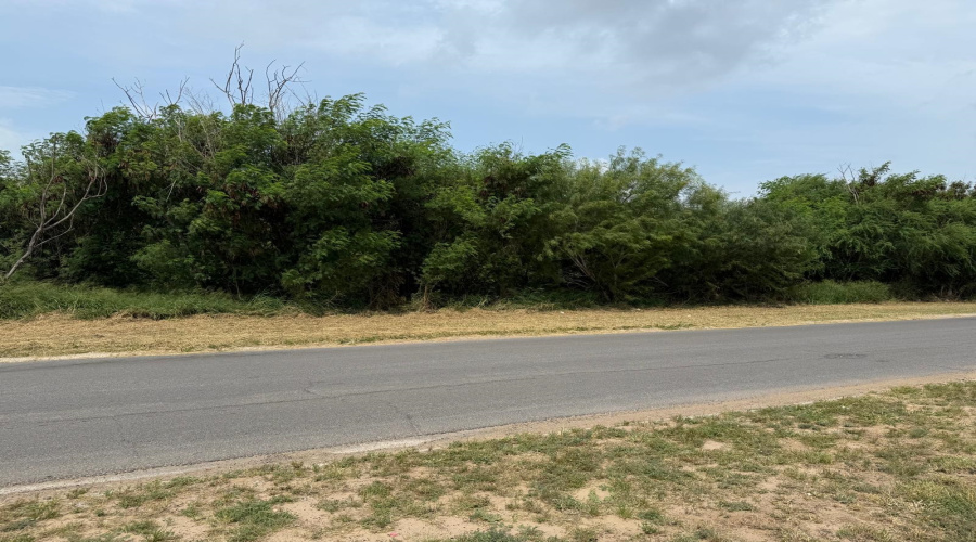 1309 13th St., Zapata, Texas 78076, ,Land,For Sale,1309 13th St.,20253083