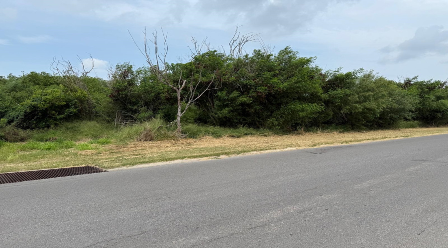1309 13th St., Zapata, Texas 78076, ,Land,For Sale,1309 13th St.,20253083