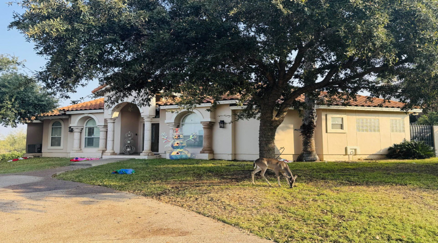 102 Cardinal Ln, Laredo, Texas 78045, 3 Bedrooms Bedrooms, 8 Rooms Rooms,2 BathroomsBathrooms,Residential,For Rent,102 Cardinal Ln,20260568