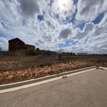21 IH-35 Access Rd, Cotulla, Texas 78014, ,Land,For Sale,21 IH-35 Access Rd,20260589