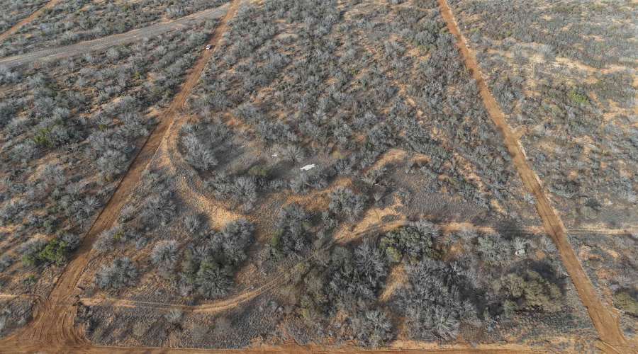 001 Ranch Rd, Encinal, Texas 78045, ,Land,For Sale,001 Ranch Rd,20260612