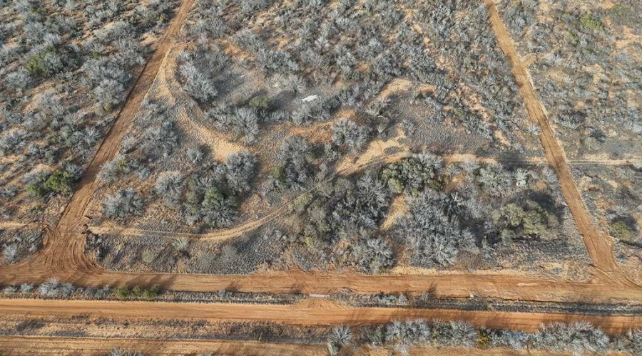 001 Ranch Rd, Encinal, Texas 78045, ,Land,For Sale,001 Ranch Rd,20260612