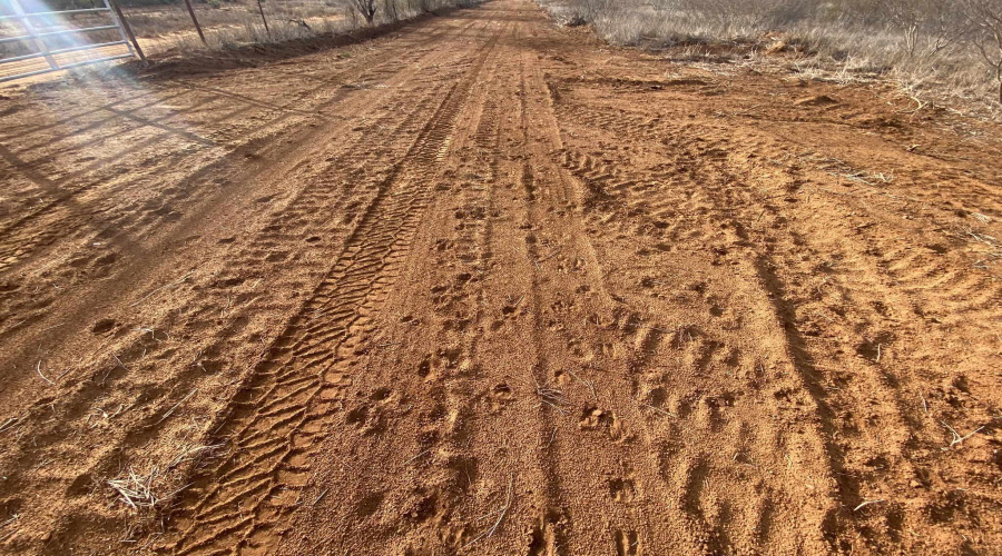 002 Ranch Rd, Encinal, Texas 78019, ,Land,For Sale,002 Ranch Rd,20260613