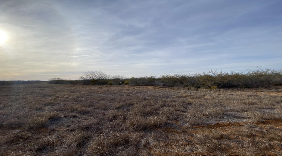 004 Ranch Rd, Encinal, Texas 78019, ,Land,For Sale,004 Ranch Rd,20260615