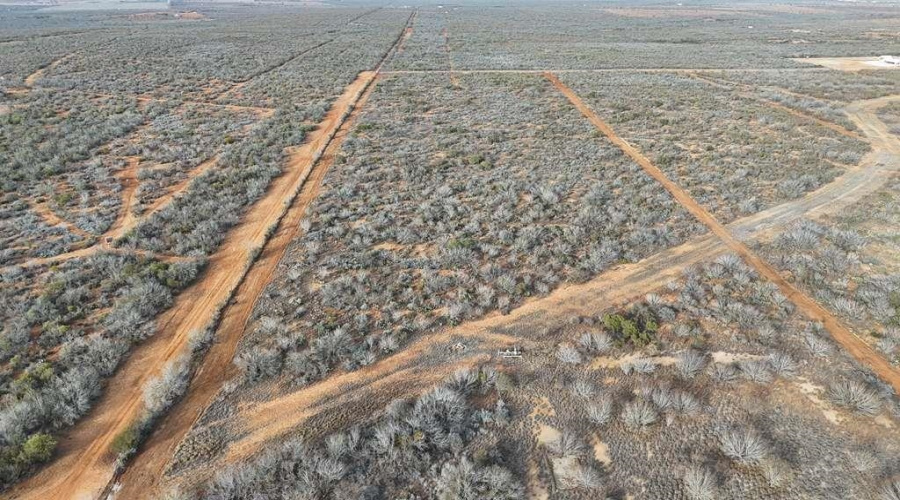 004 Ranch Rd, Encinal, Texas 78019, ,Land,For Sale,004 Ranch Rd,20260615